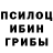 Псилоцибиновые грибы мицелий Dolana