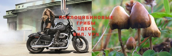 MESCALINE Богородицк
