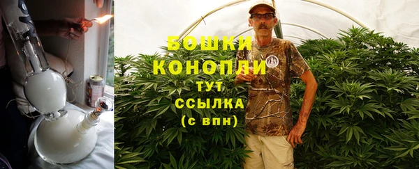 apvp Новозыбков