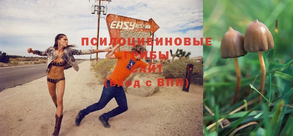 ПСИЛОЦИБИНОВЫЕ ГРИБЫ Богородск